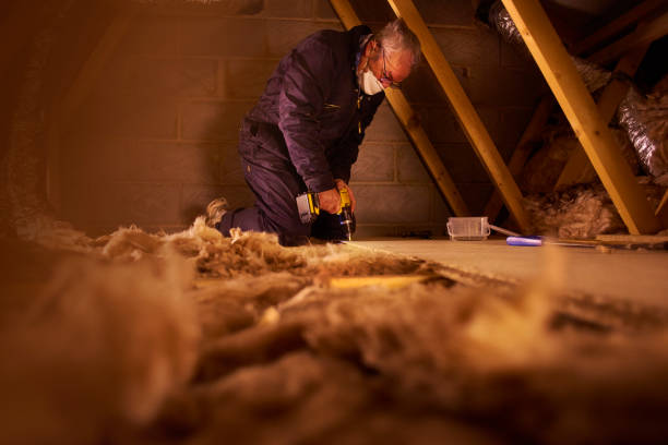 Best Eco-Friendly Insulation Solutions  in Bellflower, CA